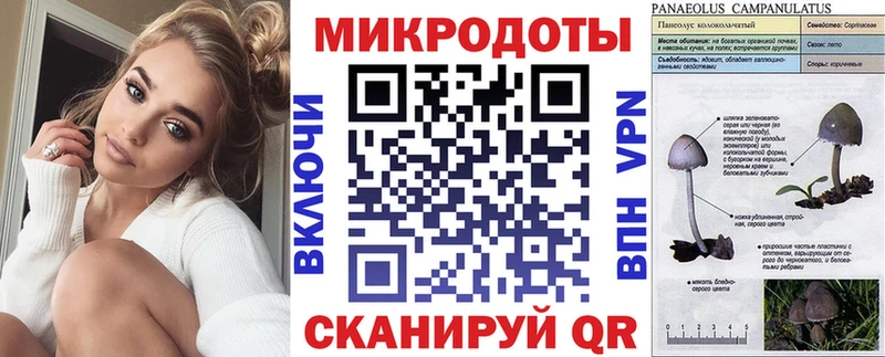 мега tor  Котлас  Галлюциногенные грибы GOLDEN TEACHER  где можно купить наркотик 