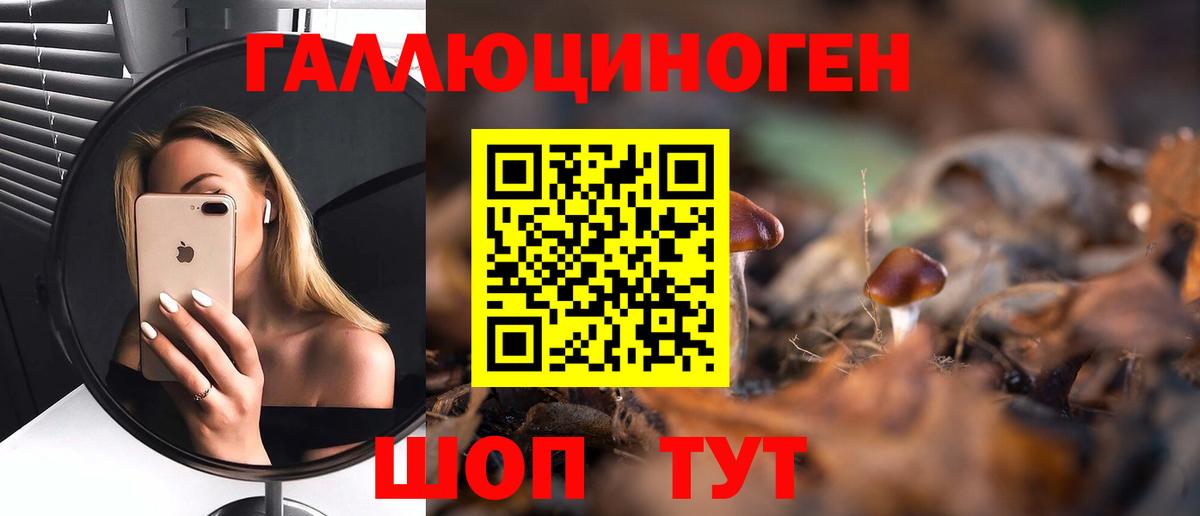 Галлюциногенные грибы Magic Shrooms  Вход с VPN  Котлас 