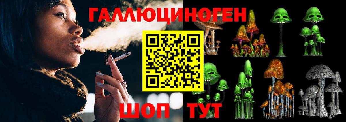 Галлюциногенные грибы мицелий Котлас